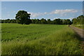 Track leading north off Thorpe Lane