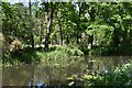 Basingstoke Canal, west of Chertsey Road bridge