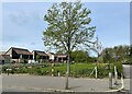 Clay Farm Community Garden