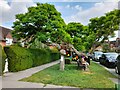 Small green on Willifield Way, Hampstead Garden Suburb