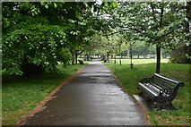 TQ3976 : Path in the rain, Greenwich Park by David Martin