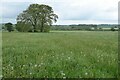 SK3012 : Farmland at Stretton en le Field by Philip Halling