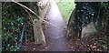 Stone Stile betwixt School and Church, Randwick GS9322