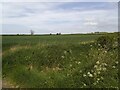 Farmland off Clockhill Field Lane