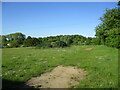 Grass field near Sulley