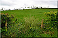 Derroar Townland