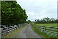 Track to Cow Moor Farm