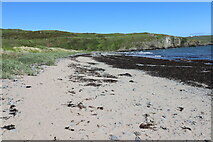 NX3639 : Shore at Back Bay by Billy McCrorie