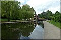 Pond in Rowntree Park