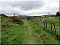 Llwybr i Deras Mafeking / Path to Mafeking Terrace