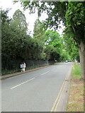 TL4556 : Brooklands Avenue, Cambridge by Roy Hughes