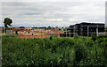 Development seen from York Road, Goldsborough