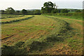 ST6906 : Mown grass, Duntish by Derek Harper