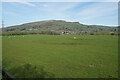 Grazing land near Chinley