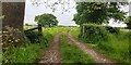 Farm Track near Budworth Heath