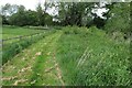 Footpath to Chipping Warden