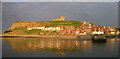 Whitby in the evening sun