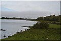 H3327 : Shoreline, Upper Lough Erne by N Chadwick