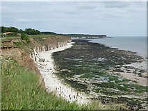 TA2068 : Sewerby Cliffs by Oliver Dixon