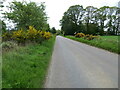 A deserted stretch of road that was once the route of the A96 at Dalvey Cottage