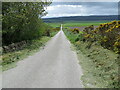 Minor road descending Carden Hill