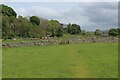 Weardale Way crossing Pastures near St. John