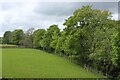 Weardale Way from Daddryshield Bridge