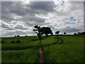 Footpath reaches field boundary