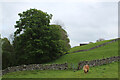 Weardale Way near Westgate