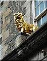 The Golden Lion