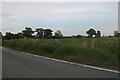 Field by Lady Lane, Hintlesham