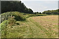 TQ6347 : Medway Valley Walk by N Chadwick