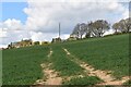 Footpath to Mill Corner