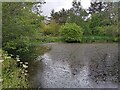 Pond at Oldtown of Leys