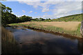 Marsh by Tarff Water