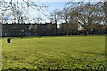 Highbury Fields