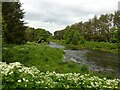 River Don, Port Elphinstone