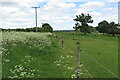 Powerlines over the Battlefields Trail