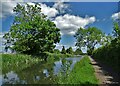 The Chesterfield Canal south of Shireoaks Road