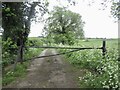 Farm track, Collingham