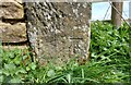 Kirkby Overblow, gatepost Barrowby Lane