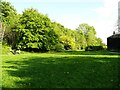 Trees at the southern end of Wellholme Park, Brighouse