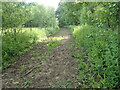 Footpath to Howland Road