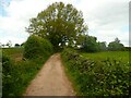 The lane to the site of Hill Top, Thackley