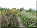 Beacon Hill, The Chevin