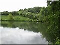 Larkfield Dam and Rawdon Billing