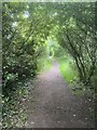 Footpath to Coton Hill