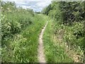 Footpath in the valley of Bagley Brook