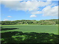 Farmland by the Clyde near Poplarglen