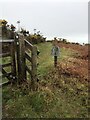 Welsh Coast Path leaving Goodwick